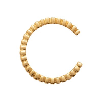 anneau bijou d'oreille