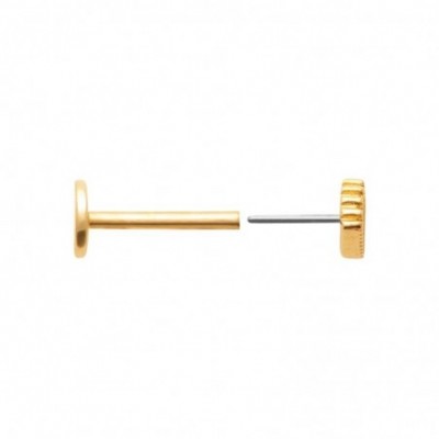  bijou d'oreille titane