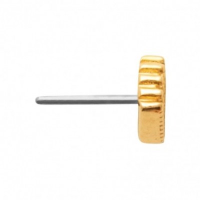 piercing titane