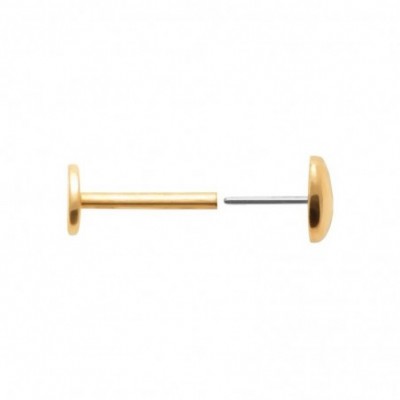  Vue de face du piercing porté