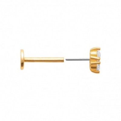 Zoom sur les zicons du piercing