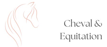 bijoux sur le thème du cheval et équitation, cavalier