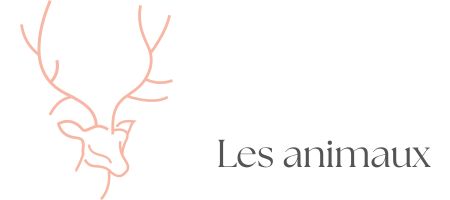 bijoux animaux, chat, chien, oiseaux