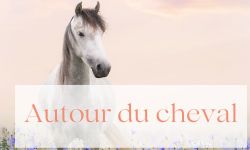 bijoux thème cheval et équitation