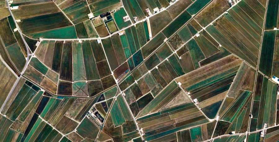 champs cultivés vus du ciel