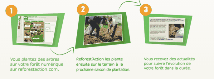 action humaniaire, planter un arbre