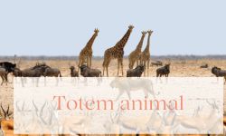 bijoux theme des animaux sauvage et animaux domestiques